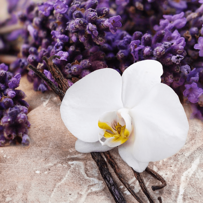 Lavender Vanilla fragrance oil