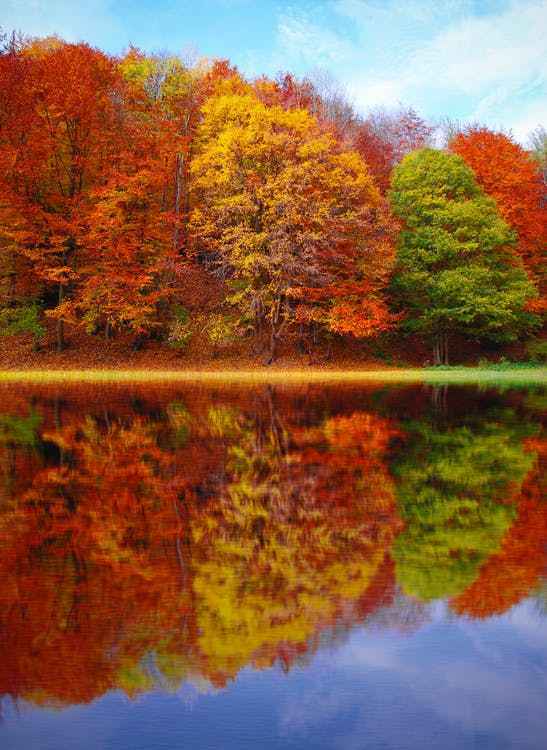 Perfect Autumn (BBW Type) fragrance oil