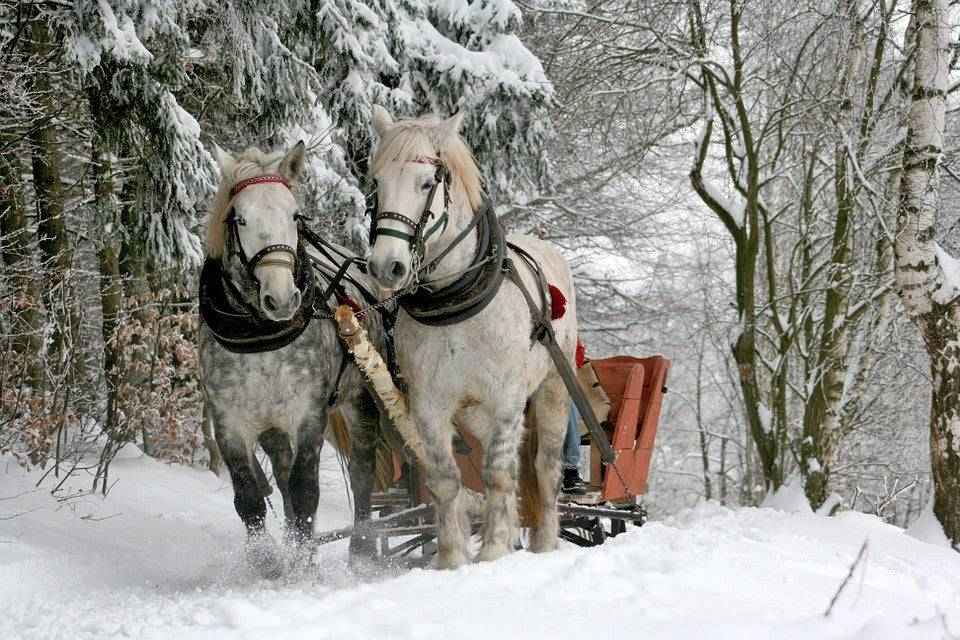 Sleigh Ride fragrance oil