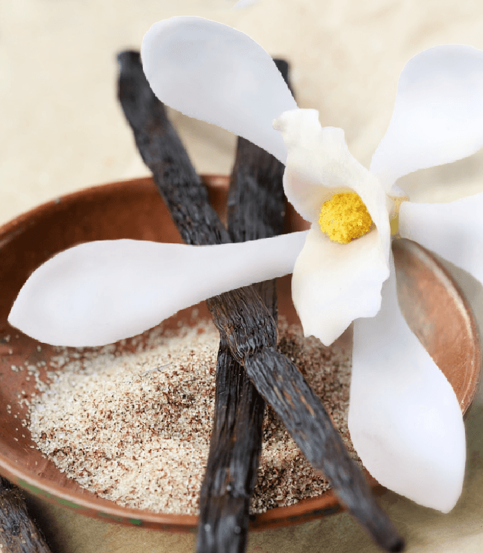 Vanilla Blossom fragrance oil product image