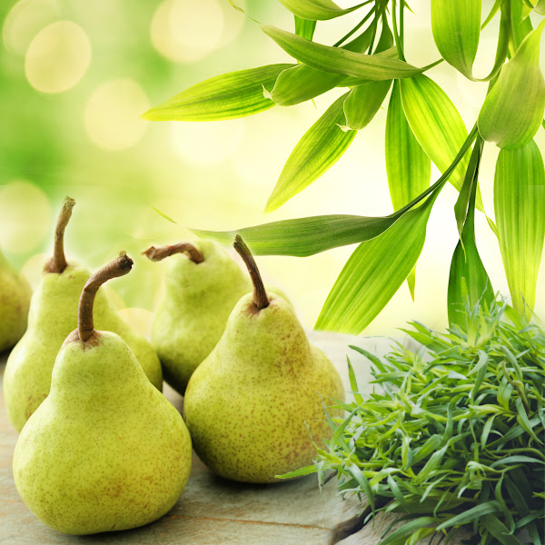 Bamboo Pear Tarragon Fragrance Oil
