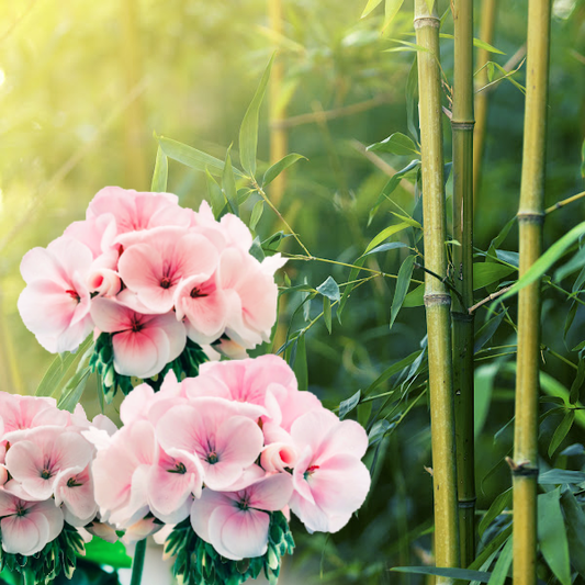 Geranium Bamboo (Febreeze Type) Fragrance Oil
