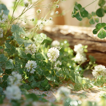 Acai & Clover Fragrance Oil – alternate view 3