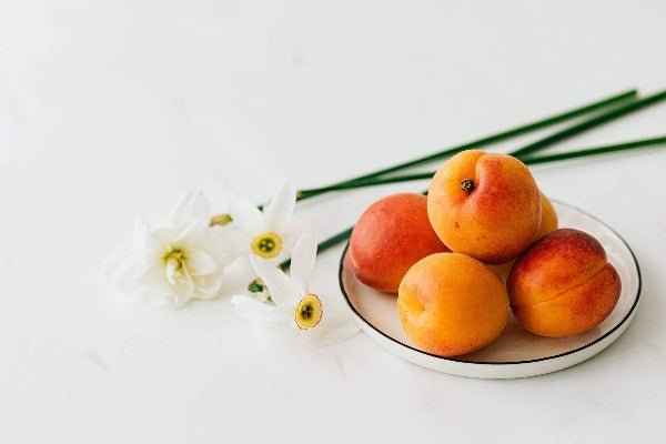 Apricot Sugar Fragrance Oil