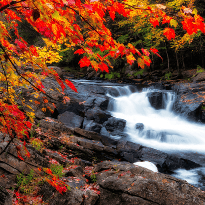 Autumn Magic fragrance oil