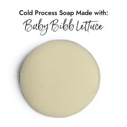 Baby Bibb Lettuce fragrance oil product image