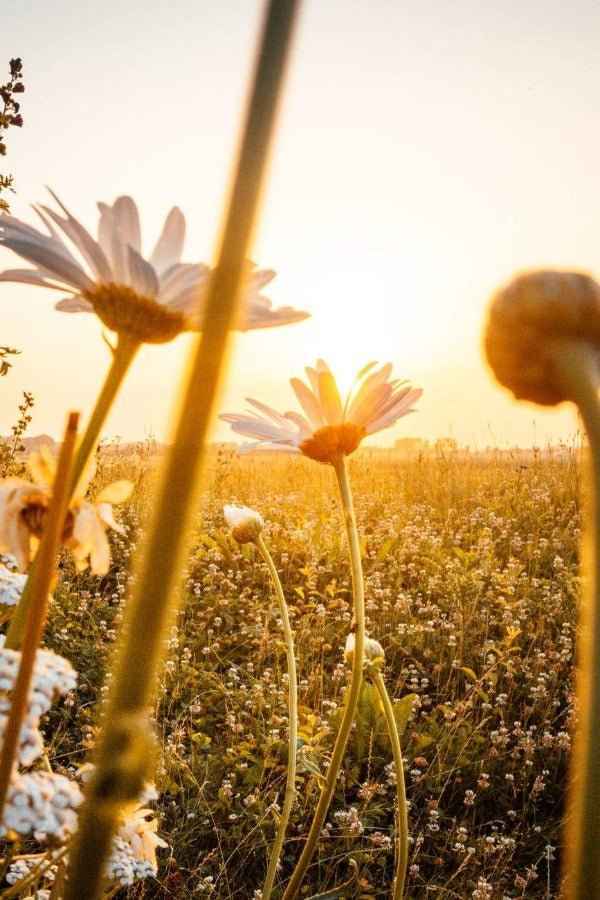 Beautiful Day (BBW Type) fragrance oil