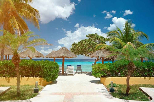 Belize Tropical Cabana (BBW Type) fragrance oil