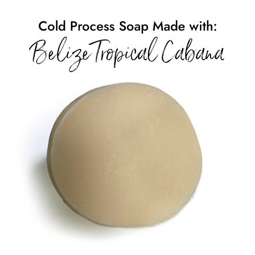 Belize Tropical Cabana (BBW Type) fragrance oil product image