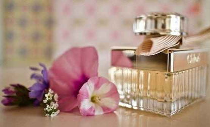 Bibliotheque (Byredo Type) fragrance oil