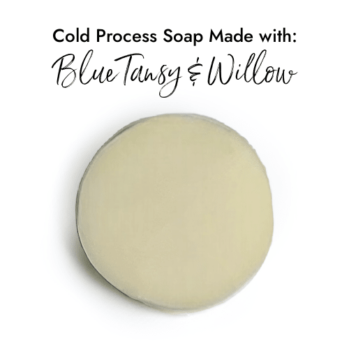 Blue Tansy & Willow fragrance oil product image