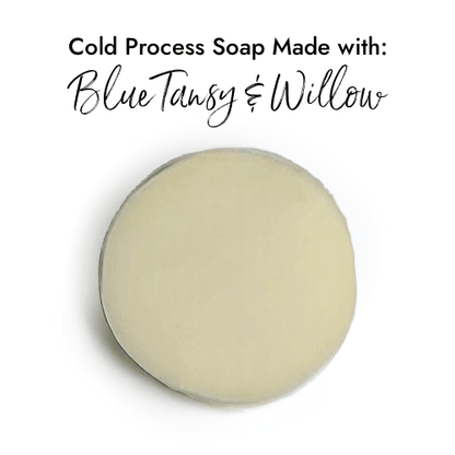 Blue Tansy & Willow fragrance oil product image