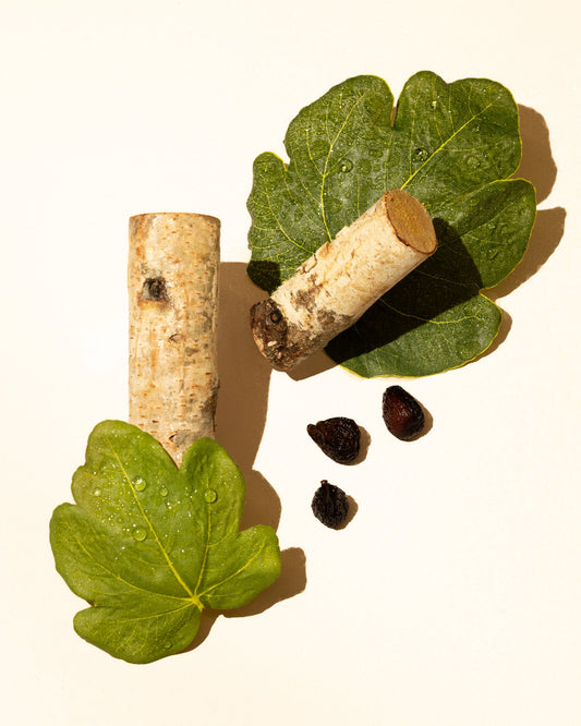 Fig Leaf Fragrance Oil Accord