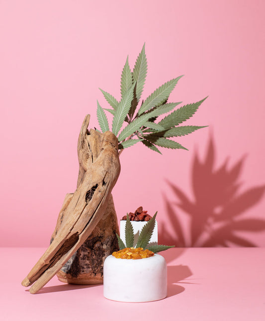 Goji Berry & Hemp Fragrance Oil