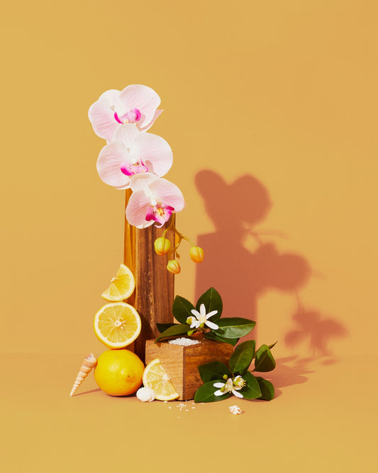 Sun Lotion & Sea Breeze fragrance oil