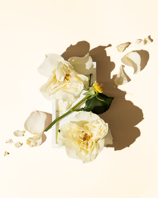 White Gardenia fragrance oil accord