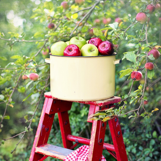 Farmstand Apple (BBW Type) fragrance oil