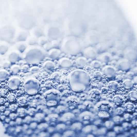 Fizz fragrance oil