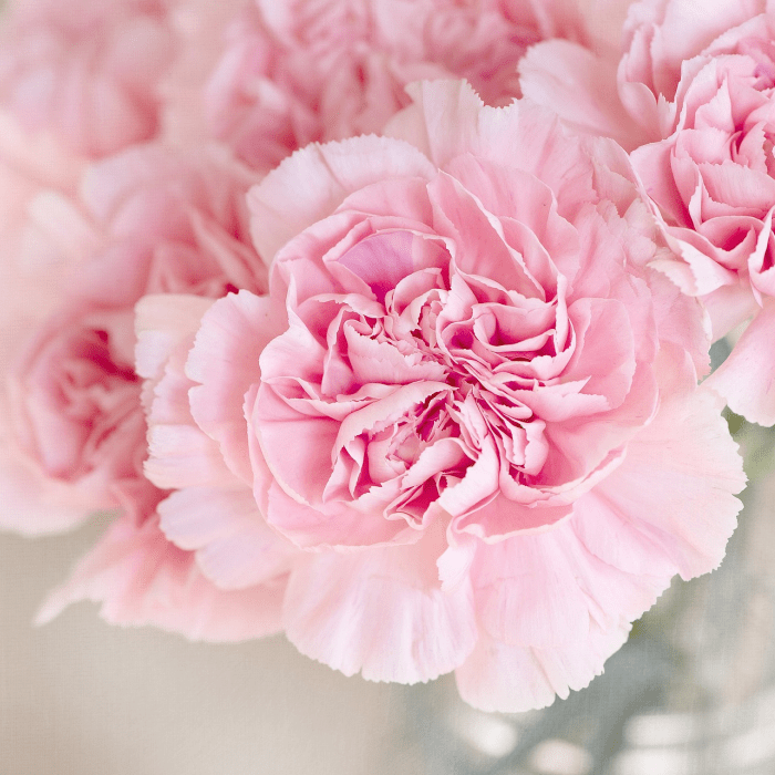 Flowerbomb (Type) fragrance oil maker image