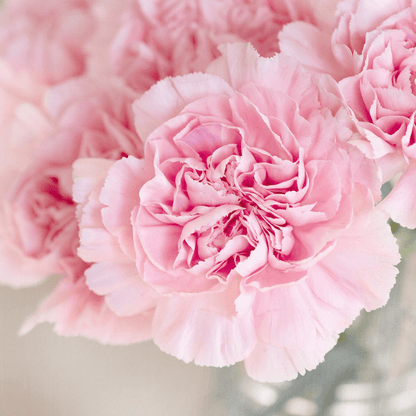 Flowerbomb (Type) fragrance oil maker image