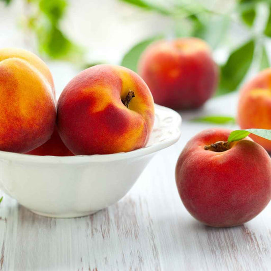 Georgia Peach fragrance oil