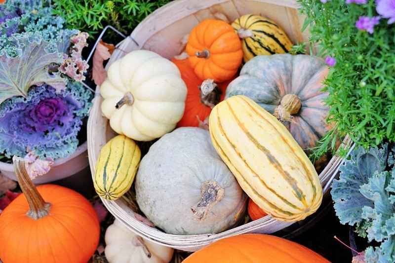 Heirloom Pumpkin fragrance oil