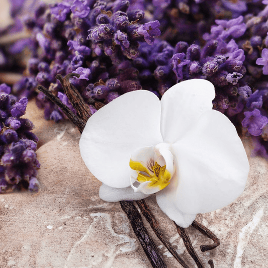 Lavender Vanilla fragrance oil