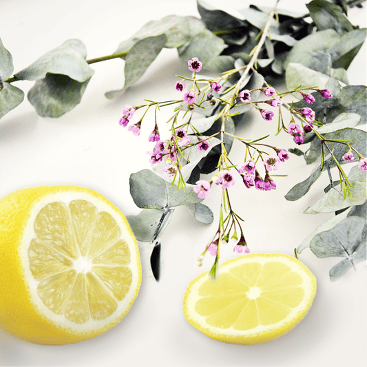 Lemon & Eucalyptus fragrance oil