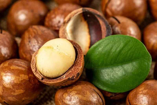 Macadamia Nutmeg fragrance oil