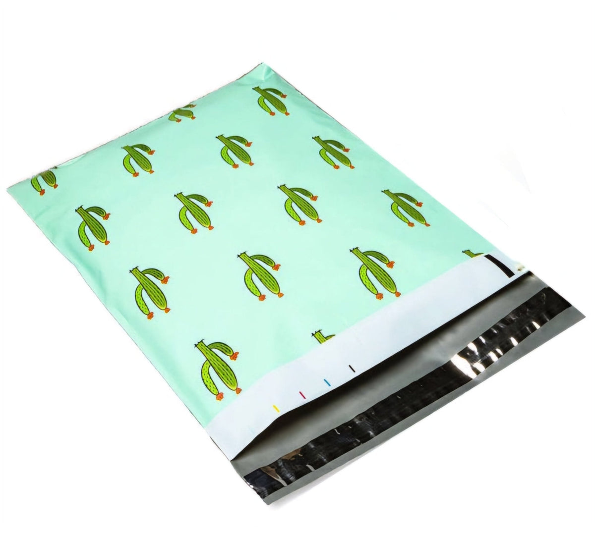Mint cactus 6 by 9 inch poly mailers
