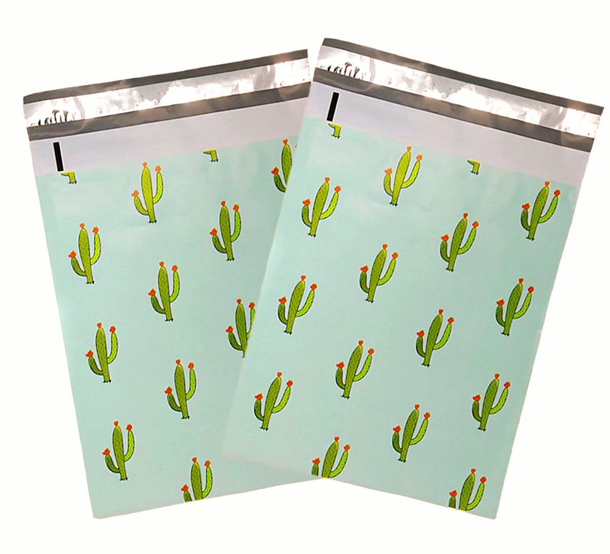 Mint cactus 6 by 9 inch poly mailers