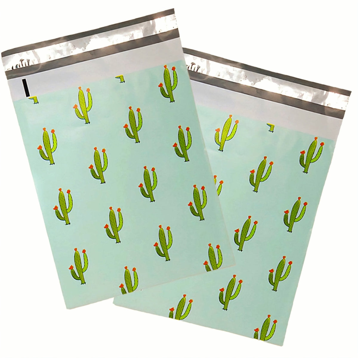 Mint cactus 6 by 9 inch poly mailers