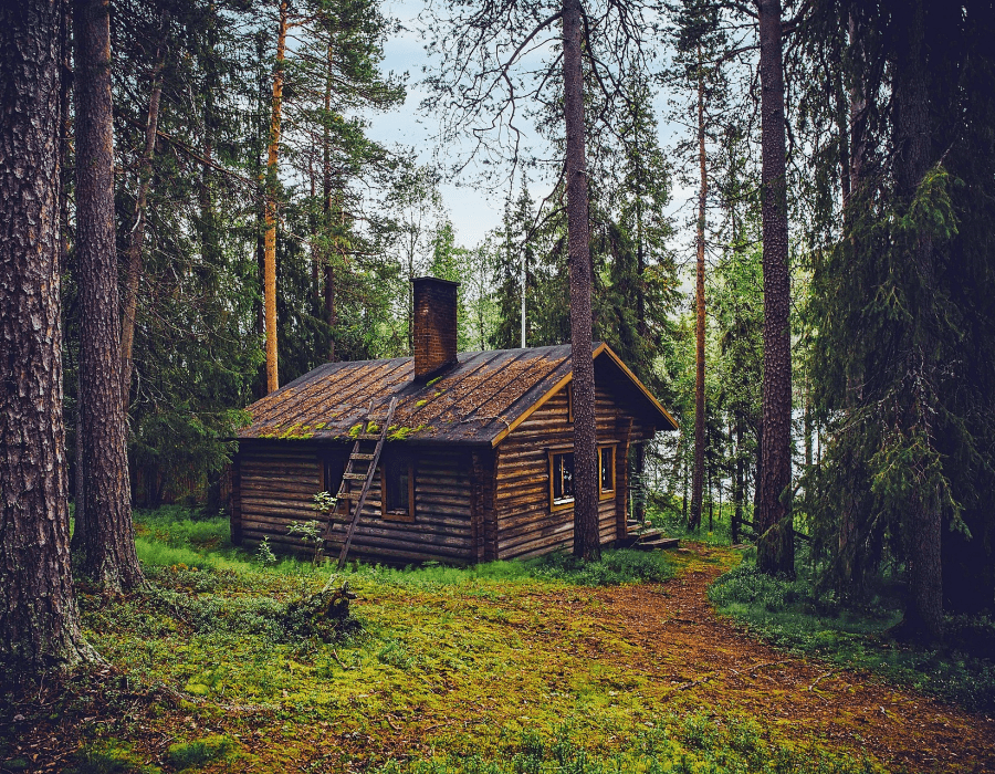 NorthWoods Fragrance Oil