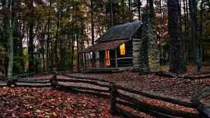 NorthWoods Fragrance Oil – alternate view 2