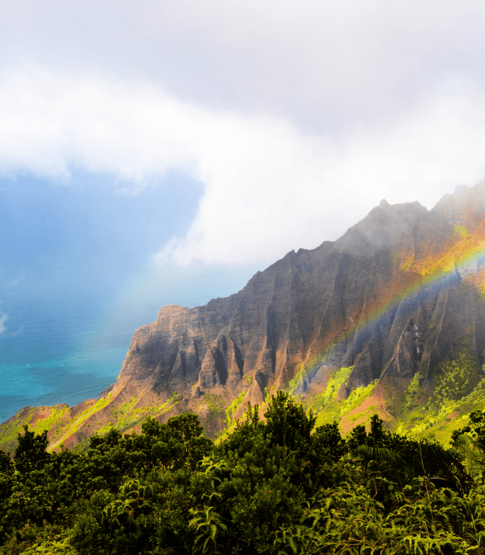 O'ahu fragrance oil