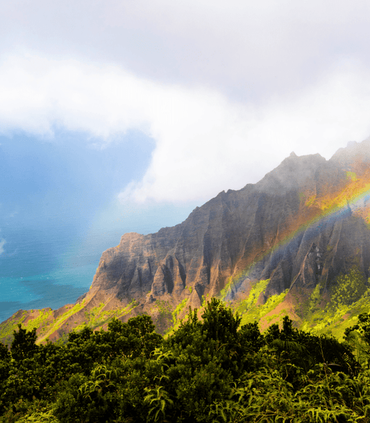 O'ahu fragrance oil