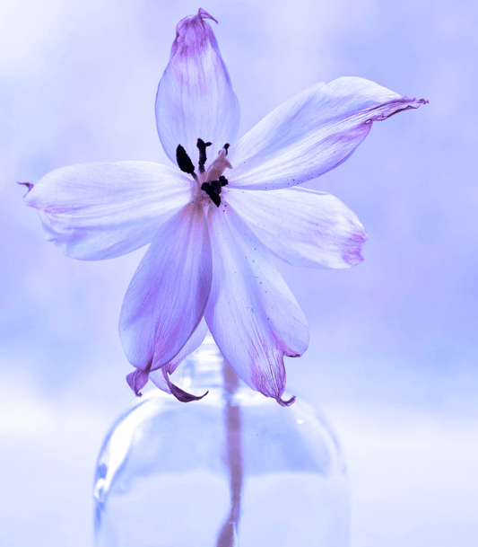 One in a Million (BBW Type) Fragrance Oil