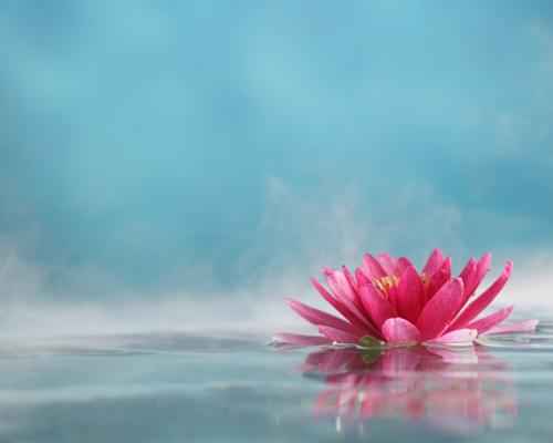 Ozonic fragrance oil product image