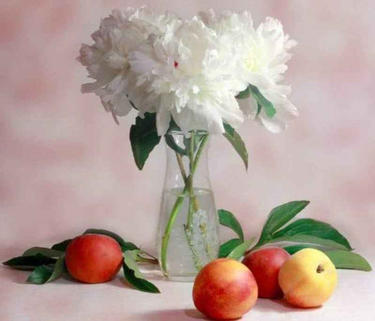 Peach Jasmine fragrance oil product image