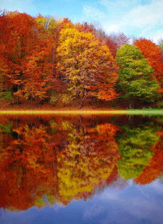 Perfect Autumn (BBW Type) fragrance oil