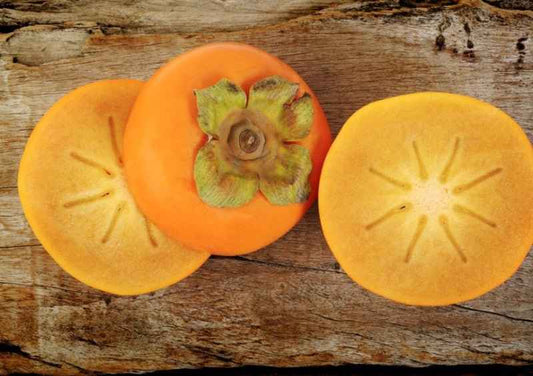 Persimmon and Beachwood fragrance oil product image