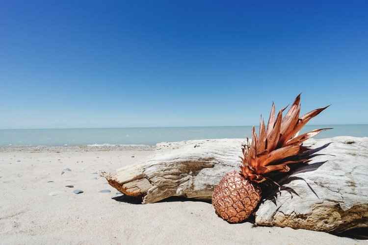 Pineapple Driftwood fragrance oil