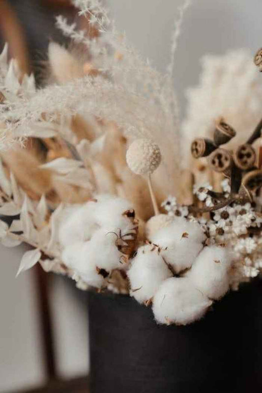 Raw Cotton fragrance oil