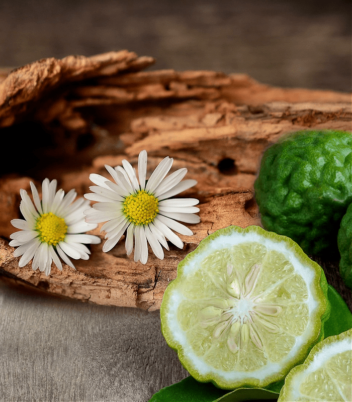 Rosewood & Bergamot fragrance oil