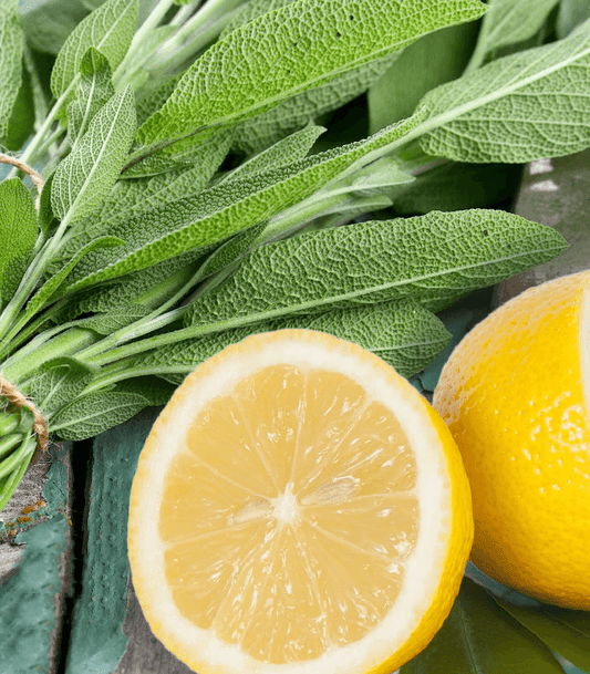 Sage and Citrus fragrance oil product image