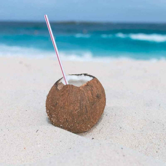 Sea Salt and Coconut fragrance oil product image