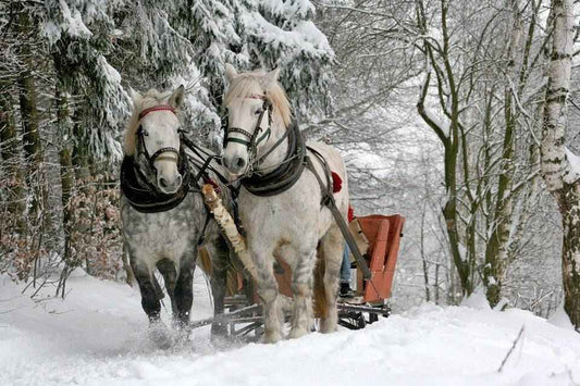 Sleigh Ride fragrance oil