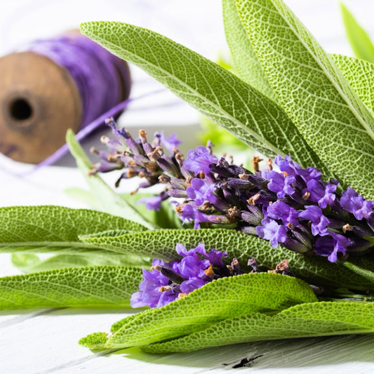 Smoked Sage and Lavender fragrance oil product image