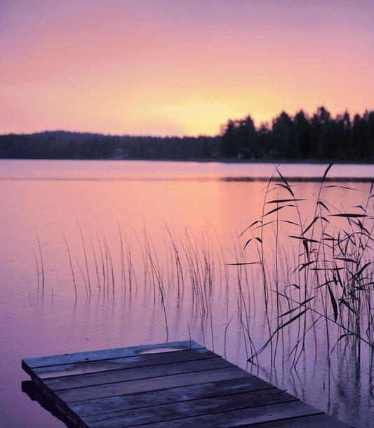 Summer Nights fragrance oil product image