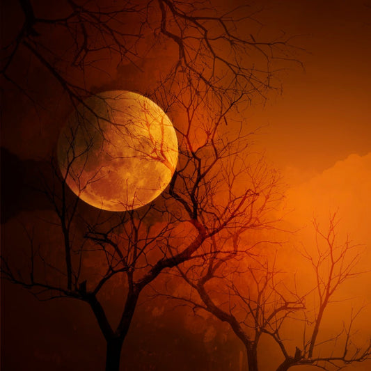 Vampire Blood BBW Type fragrance oil product image